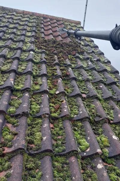 moss removal roof London specialist scraping thick green moss from roof tiles