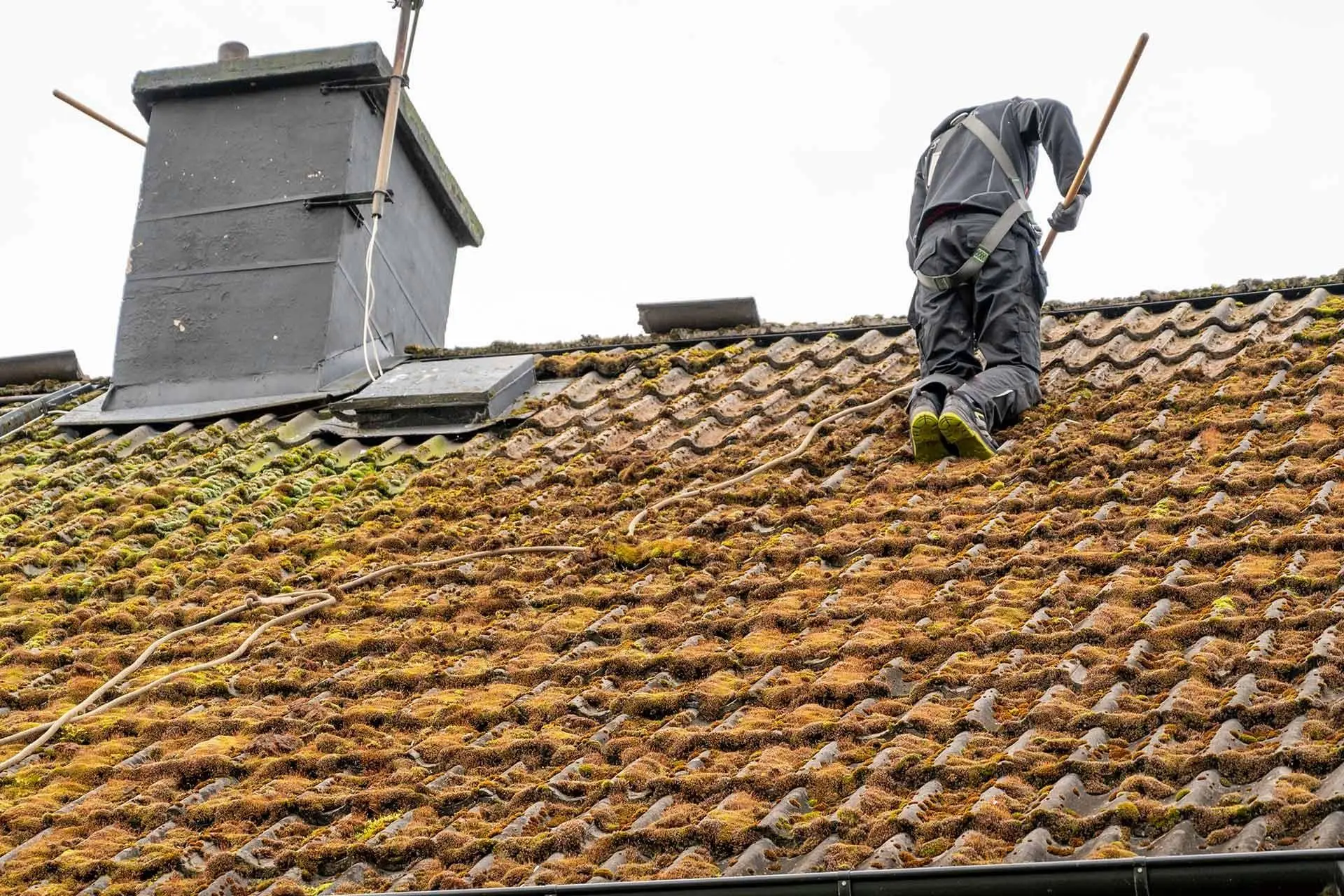 moss removal roof London finished result showing a clean, moss-free tiled roof